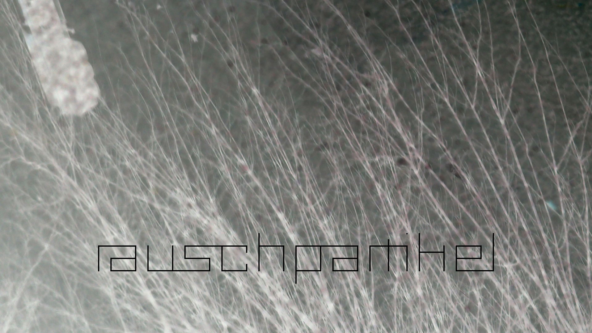 2021-01-06 - 08 Kühlgeträt (On/Off) (Remix John Cage - Empty Words IV)